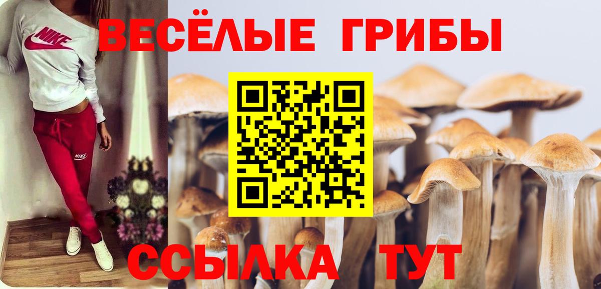 Галлюциногенные грибы GOLDEN TEACHER  Вход с VPN  Галлюциногенные грибы ЛСД  Саратов 
